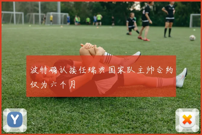 波特确认接任瑞典国家队主帅合约仅为六个月
