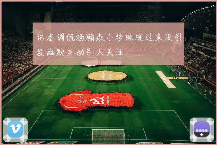 记者调侃杨瀚森小珍珠缓过来没引发幽默互动引人关注