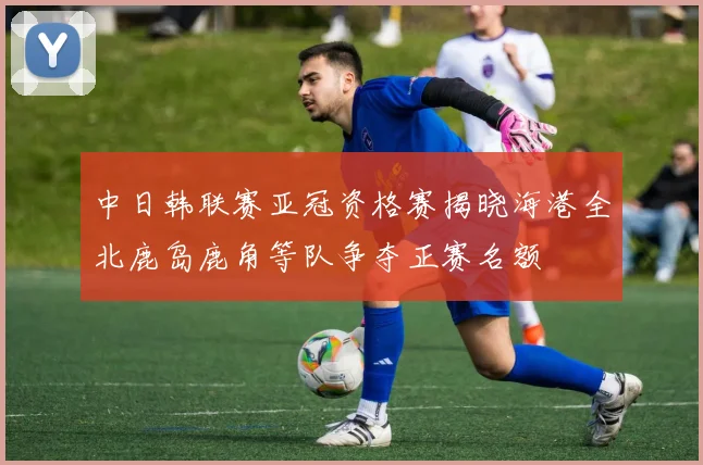 中日韩联赛亚冠资格赛揭晓海港全北鹿岛鹿角等队争夺正赛名额